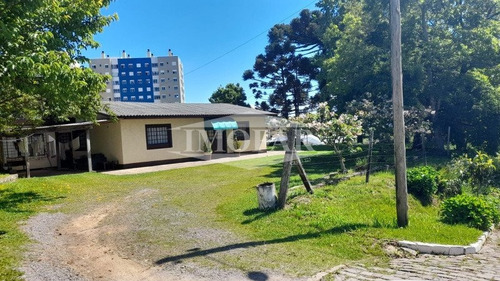 Imagem 4 de 6 de Pavilhao - Volta Grande - Ref: 8847 - V-8847