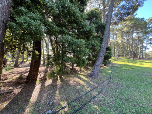 Lote Residencial Con Salida Al Golf En Carilo