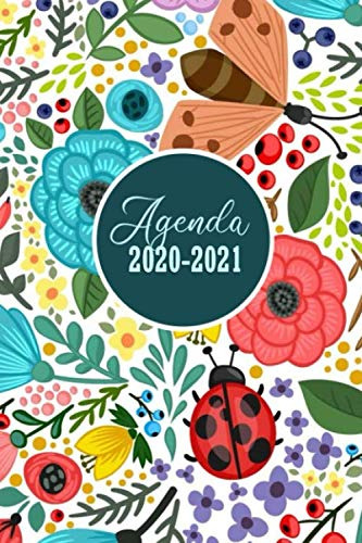 Agenda 2020-2021: Planificador 24 Meses | 108 Paginas Tamaño