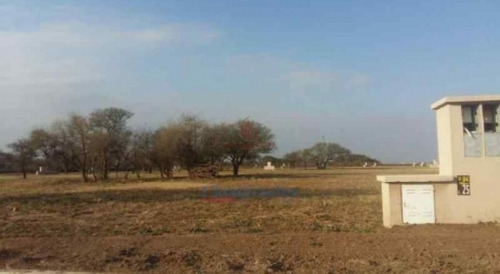 Imagen 5 de 9 de Siete Soles - Alqarias Excepcional Lote!