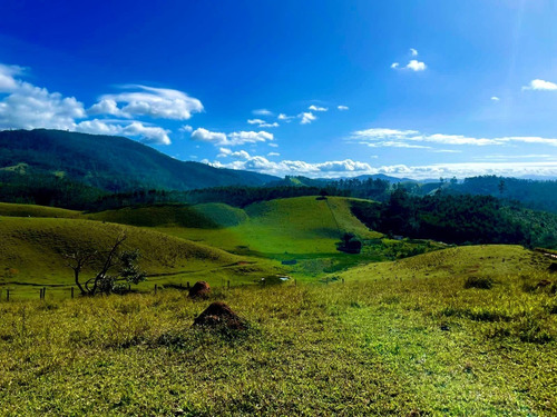 Imagem 4 de 29 de A23d-terreno Vista Bela E Arborizada!