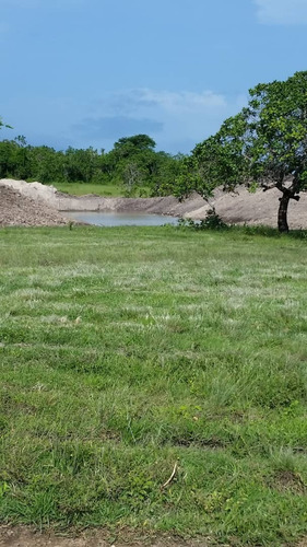 Imagen 3 de 14 de Se Vende Finca Jusepin Edo Monagas Ve01-1458ju-rcor