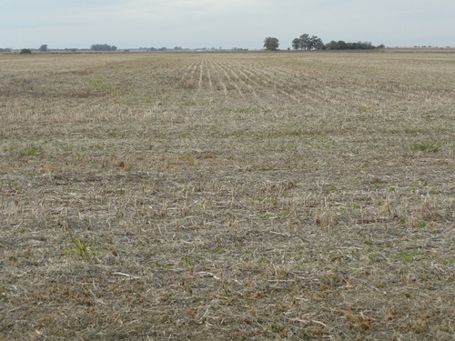 Campo Agrícola A Poca Distancia De Ruta Nacional 14 Camino Mejorado, A 240 Km De Buenos Aires, Apto Varios Destino