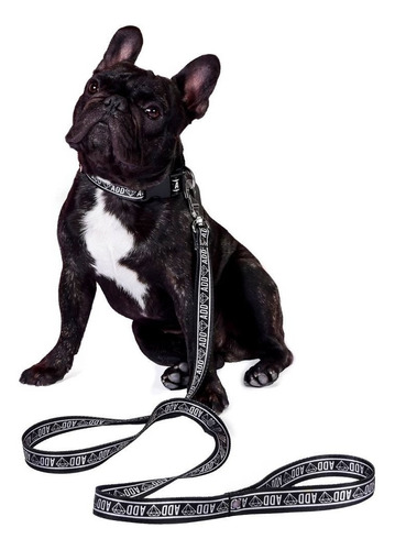 Collar Perro - Cinturón De Seguridad - Correa Add