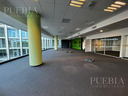 Imagen 6 de 16 de Oficina Aaa A Estrenar En Alquiler De 630 M2
