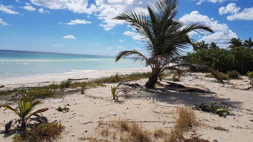 Imagen 1 de 5 de Venta Terreno De 801m2 Frente Al Mar En Carretera Mahahual- Xcalak P3413