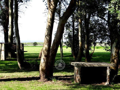 Las Martinas - Cabaña Doble En Colonia