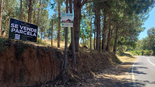 Venta Parcelas En Copiulemu Camino A Hualqui