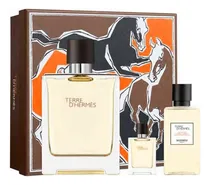 Comprar Hermes Terre D'hermes Edt 100ml Gift Set 