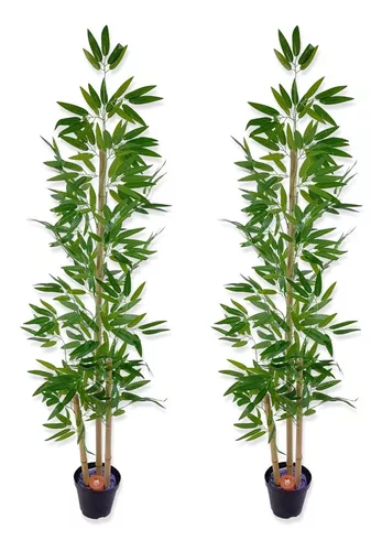 Kit 2 Bambus Planta Artificial Sem Vaso Decorativo Para Sala