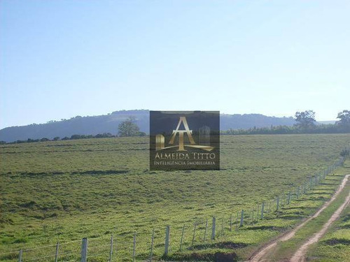 Imagem 10 de 30 de Excelente Fazenda Para Venda Em Itatinga - Sp - Confira!!!! - Fa0044