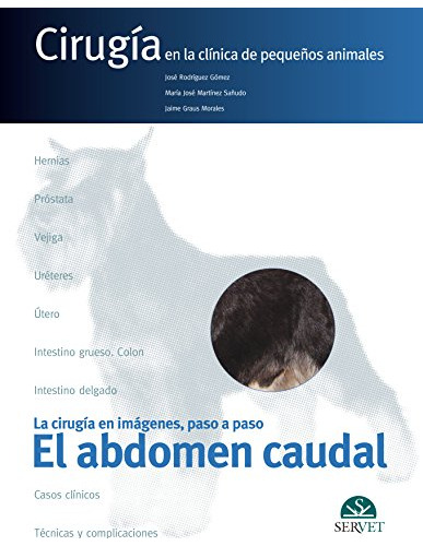 El Abdomen Caudal Cirugia En La Clinica De Pequenos Animales