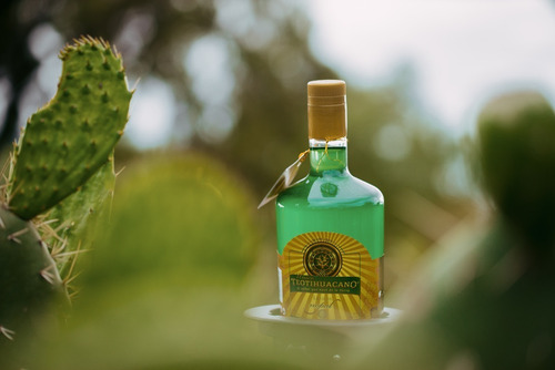 Imagen 3 de 6 de Bebida Artesanal De Nopal 750 Ml
