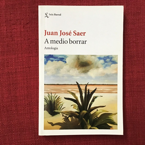 A Medio Borrar - Juan José Saer