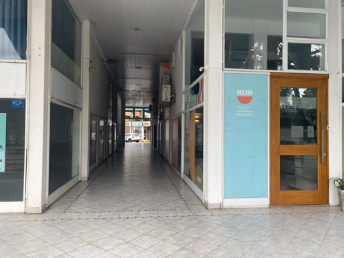 Imagen 6 de 8 de Local Comercial Con Departamento En Pinamar