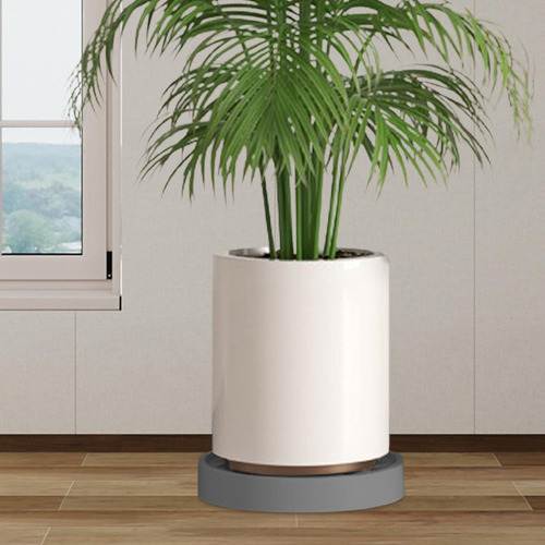 Soporte Rodante Para Con Ruedas, Base De 43cm X 6,5cm Gris