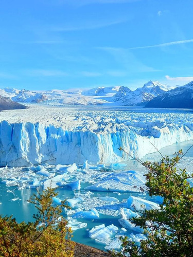 Cabaña Y Alquiler Por Día En El Calafate, Y Traslados.