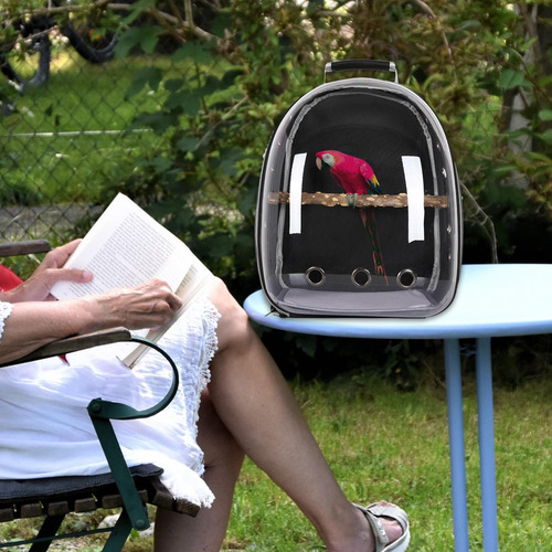 Mochila Para Loros Para Mascotas, Fácil De Llevar, Negro