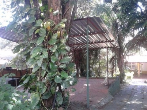 Imagem 3 de 8 de Area À Venda No Jardim Faculdade - Sorocaba/sp - Ar00802 - 4237814
