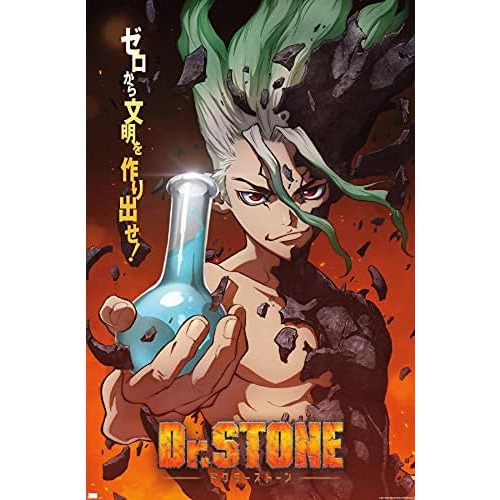 Póster De Pared De Dr. Stone, Tamaño Único, Sin Marc...