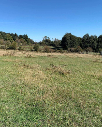 Gran Proyecto De Parcelas Sector Los Riscos (103008)