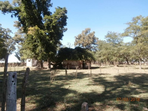 Imagen 15 de 25 de Campo Alto A 60 Km Del Ovelisco 376 Hectareas Con Mejoras