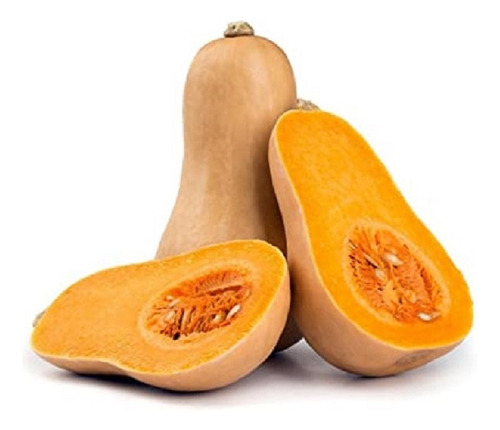 Semillas Calabacin Waltham Butternut (100)made In Usa 