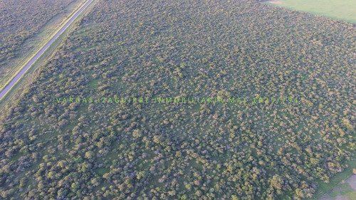 Imagen 7 de 10 de Campo Ganadero Sobre Ruta 6 Ganadero 79 Ha Monte Entre Rios