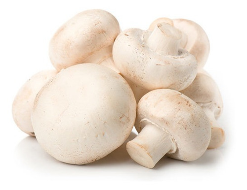 Kit P/ Produzir Cogumelo Champignon Em Casa Alimento Vegano