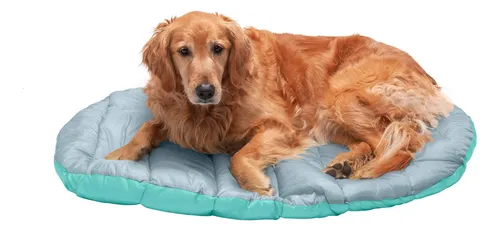 Cama Para Perros Furhaven Trail Pup Para Viajes Al Aire Libr