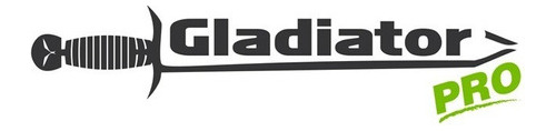 Imagen 2 de 9 de Taladro Percutor 650 W 13 Mm Gladiator Tp 413/7/220 Mm