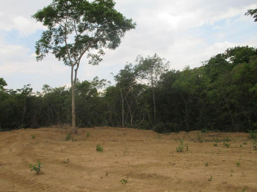 Imagem 11 de 15 de Terreno Para Venda Em Esmeraldas, Floresta Encantada - T23_1-1019445