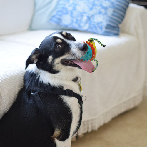 Juguete Puppy Treat Para Masticar Perros, Limpieza De Mascot