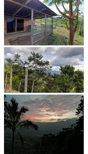 Venta De Finca De 8500mt2 En Dagua, Valle Del Cauca 6060.