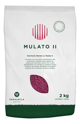 Pasto Mulato Ii Hibrido De Semillas Papalotla Envase 2 Kg