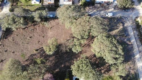 Imagen 4 de 11 de Terreno - Victoria