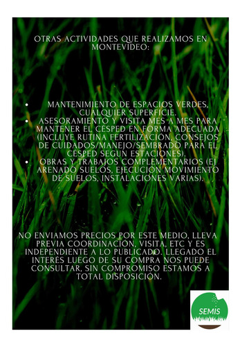 Imagen 6 de 6 de Semillas Césped Perenne Sombra Árboles - Hojas Finas - 1kg