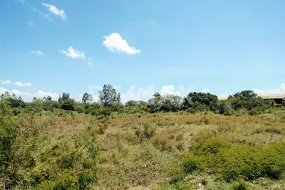 Terreno en venta