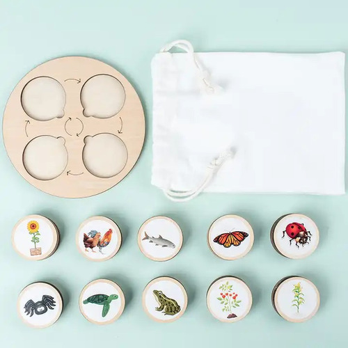 Rompecabezas Ciclo De La Vida Circle Of Life Playful Minds