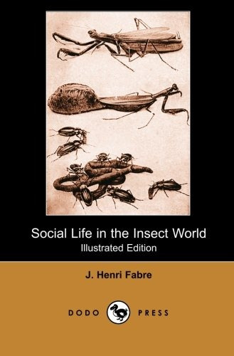 Social Life In The Insect World (illustrated Edition) (dodo 