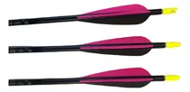 Comprar Flechas Easton Gamegetter 500 Xx75 2016 Armadas X 6 Unidades