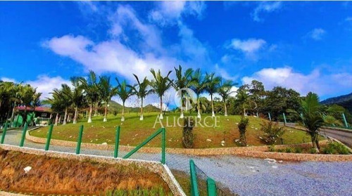 Imagem 7 de 30 de Linda Chácara Em Águas Mornas Com 3 Hectares - Ch0005