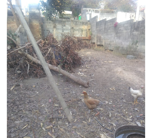 Terreno Em São Roque, Proximo Centro São João Novo