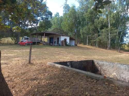 Fazenda Com Ótima Localização