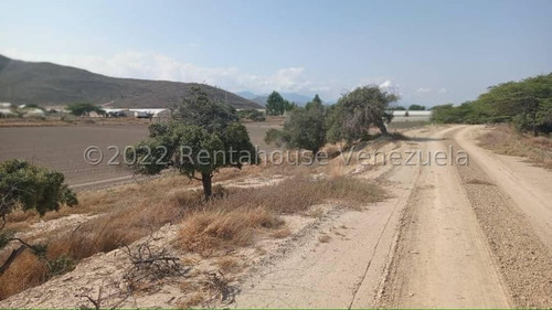 Imagen 16 de 30 de Fina En Venta Quibor Estado Lara, 04245937542
