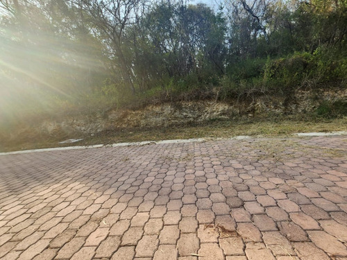 Venta Lote Gladiola 31 Muy Cerca De La Entrada Y En Nueva Zona De Fracc Rancho San Diego Ixtapan De La Sal Edomex Con Todos Los Servicios Y Proyecto Incluído