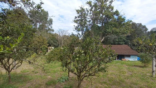 Imagem 8 de 15 de Sítio / Chácara Para Venda Em Araucária, Zona Rural, 2 Dormitórios, 1 Banheiro, 1 Vaga - 157_2-1591009