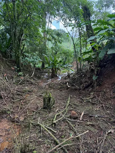 Hermosísima Finca Para Inversión