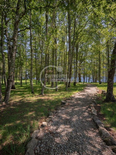 Ug Sitio Con Vista A Lago Colico