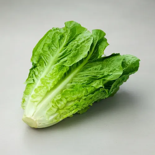 400 Semillas Lechuga Criolla Huerta Verduras Hortalizas | MercadoLibre